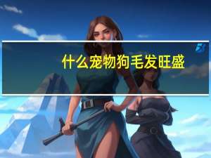 什么宠物狗毛发旺盛