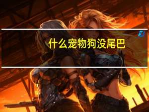 什么宠物狗没尾巴