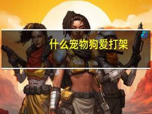 什么宠物狗爱打架