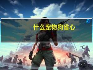 什么宠物狗省心