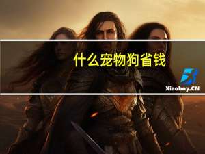 什么宠物狗省钱