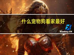 什么宠物狗看家最好