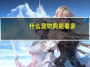什么宠物狗能看家