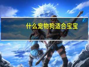 什么宠物狗适合宝宝