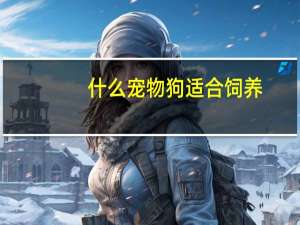 什么宠物狗适合饲养