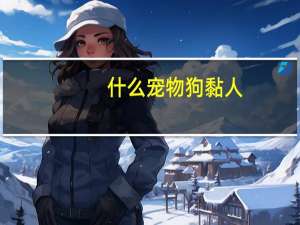 什么宠物狗黏人