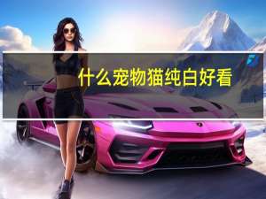 什么宠物猫纯白好看