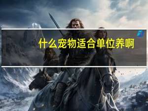 什么宠物适合单位养啊