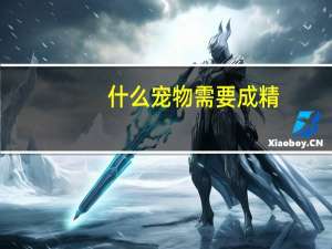 什么宠物需要成精
