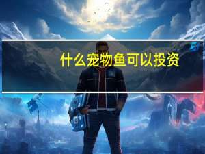 什么宠物鱼可以投资
