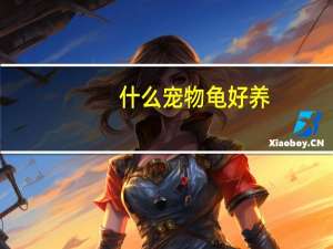 什么宠物龟好养