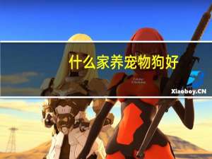什么家养宠物狗好