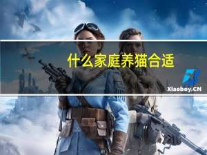 什么家庭养猫合适