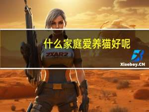 什么家庭爱养猫好呢