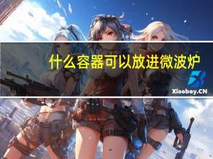 什么容器可以放进微波炉