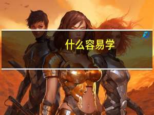 什么容易学