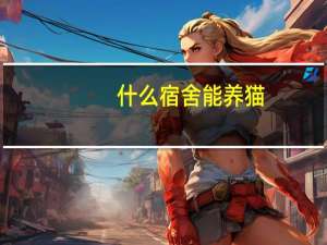 什么宿舍能养猫
