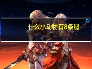 什么小动物有8条腿