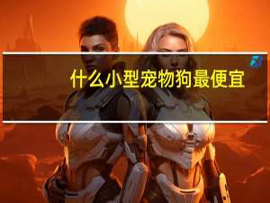 什么小型宠物狗最便宜