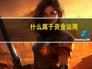 什么属于资金运用