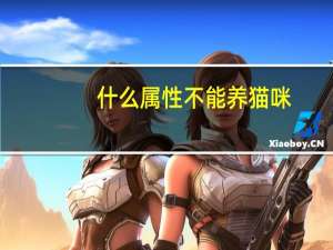 什么属性不能养猫咪