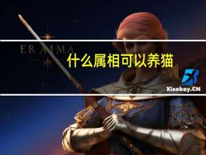 什么属相可以养猫