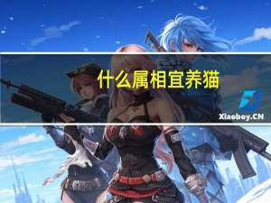 什么属相宜养猫