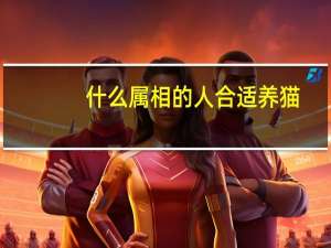 什么属相的人合适养猫