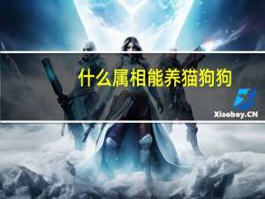 什么属相能养猫狗狗