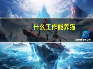 什么工作能养猫