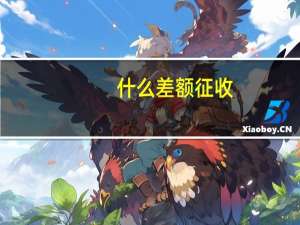 什么差额征收