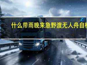 什么带雨晚来急野渡无人舟自横
