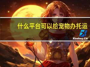什么平台可以给宠物办托运