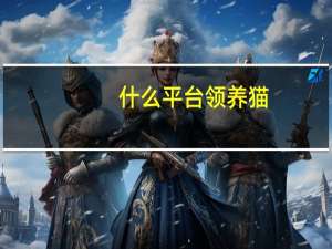 什么平台领养猫