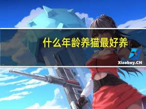 什么年龄养猫最好养