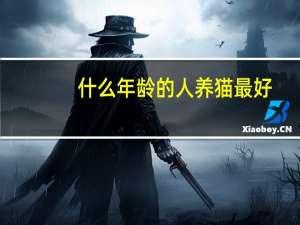 什么年龄的人养猫最好