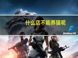 什么店不能养猫呢
