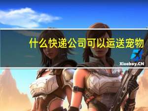 什么快递公司可以运送宠物