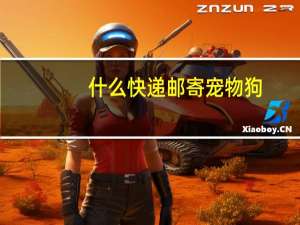 什么快递邮寄宠物狗