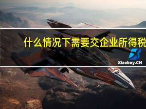 什么情况下需要交企业所得税