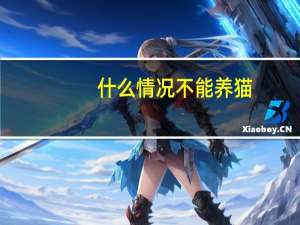什么情况不能养猫