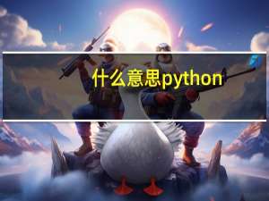 什么意思python