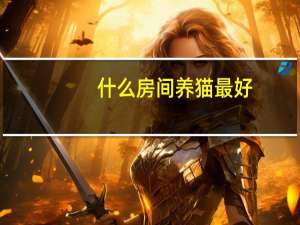 什么房间养猫最好