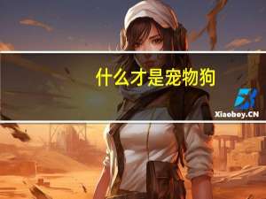 什么才是宠物狗
