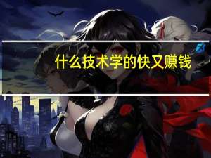 什么技术学的快又赚钱