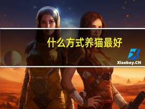 什么方式养猫最好