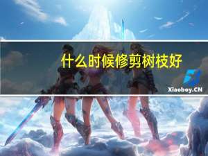 什么时候修剪树枝好