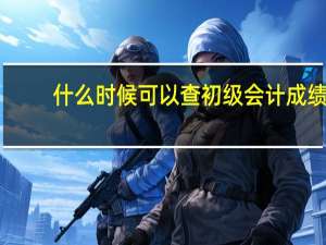 什么时候可以查初级会计成绩