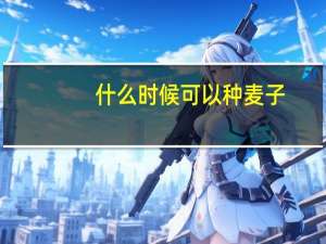 什么时候可以种麦子