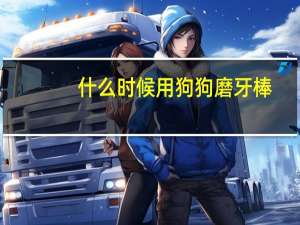 什么时候用狗狗磨牙棒